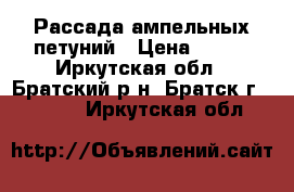 Рассада ампельных петуний › Цена ­ 150 - Иркутская обл., Братский р-н, Братск г.  »    . Иркутская обл.